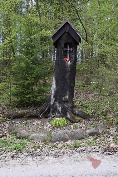 Tomaszkowo- kapliczka w lesie, w północnej części obrębu, przy granicy z Gronitami