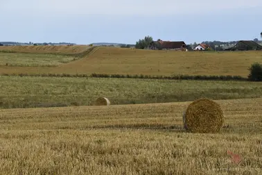 Okolice Świętnika